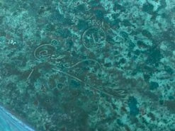 1920s Patinated Art Deco Bronze Box By Carl Sorenson -CHAIRISH Shop 1920s patinated art deco bronze box by carl sorenson 2821