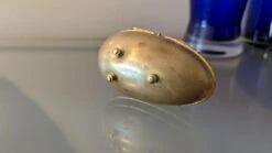 1940s Brass Egg Trinket Box Trimmed With Ormolu -CHAIRISH Shop 1940s brass egg trinket box trimmed with ormolu 7677