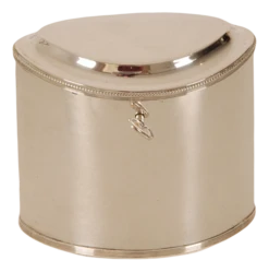 19th Century Regency Empire Napoleonic Sterling Silver Casket Tea Caddy Box