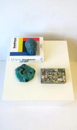 Abalone Seashell Box -CHAIRISH Shop abalone seashell box 7520