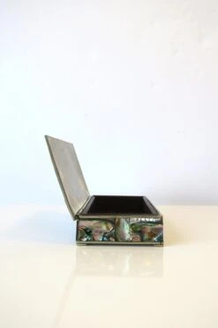 Abalone Seashell Box -CHAIRISH Shop abalone seashell box 7984