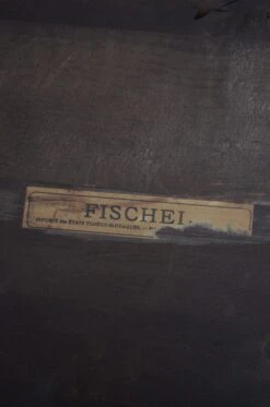 Bentwood Umbrella Stand From Fischel -CHAIRISH Shop bentwood umbrella stand from fischel 5867