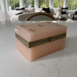 French Pale Pink Opaline Casket Box With Brass And Fleur De Lis Design -CHAIRISH Shop french pale pink opaline casket box with brass and fleur de lis design 2944