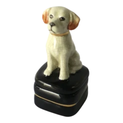 Labrador Retriever Puppy Dog Box