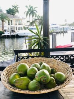 Large Vintage Decorative Wall Basket -CHAIRISH Shop large vintage decorative wall basket 1605