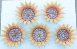 Palecek Coconut Shell Sunflower Baskets - Set Of 5 -CHAIRISH Shop palecek coconut shell sunflower baskets set of 5 2495