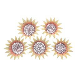 Palecek Coconut Shell Sunflower Baskets - Set Of 5