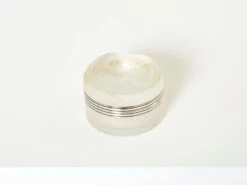 Small René Lalique Daphné Art Deco Crystal Powder Box 1940 21 Small René Lalique Daphné Art Deco Crystal Powder Box 1940 -CHAIRISH Shop small rene lalique daphne art deco crystal powder box 1940 6864