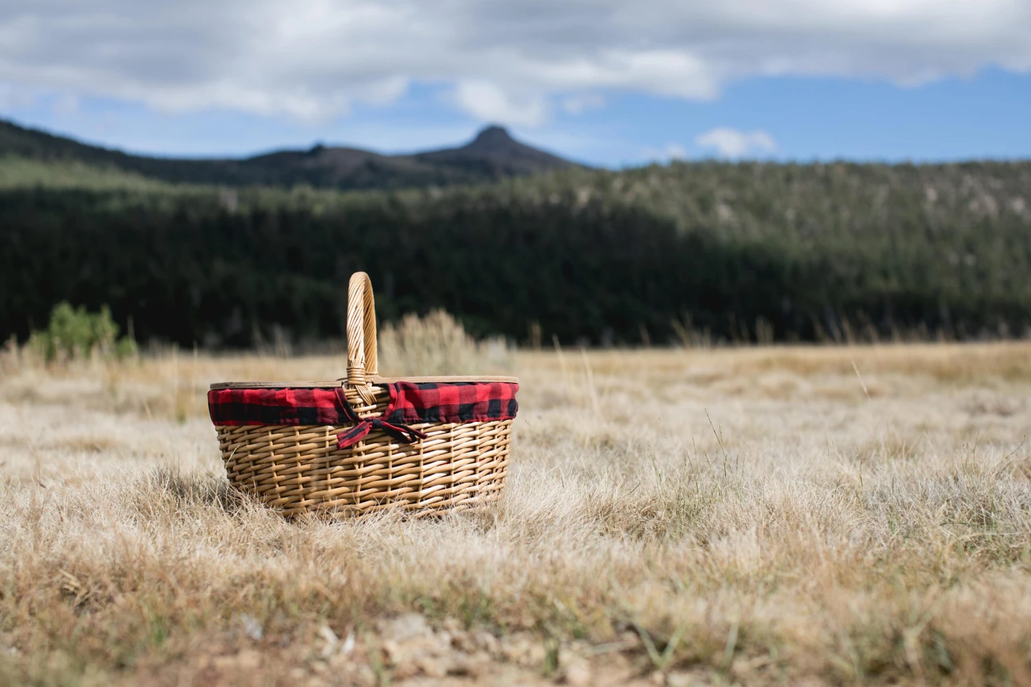 The Country Picnic Basket With Red & Black Liner 4 The Country Picnic Basket With Red & Black Liner - Image 2