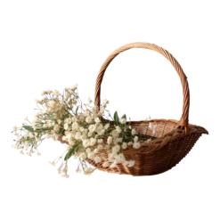 Vintage Wicker Handl Basket